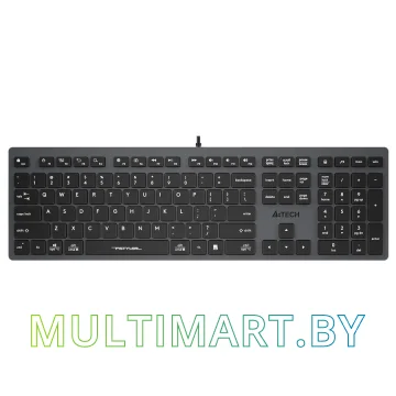 Клавиатура A4Tech Fstyler FX50 (серый)
